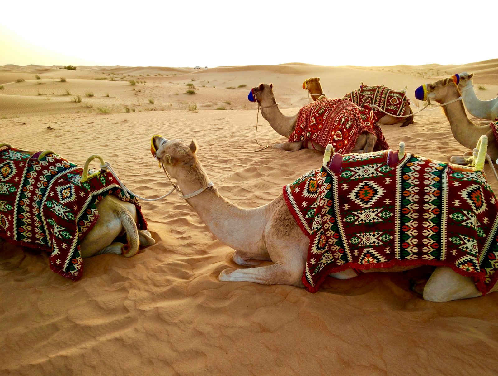 Dubai 4 Nights / 5 Days